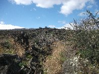 iara Scorciavacca-20110306 016
